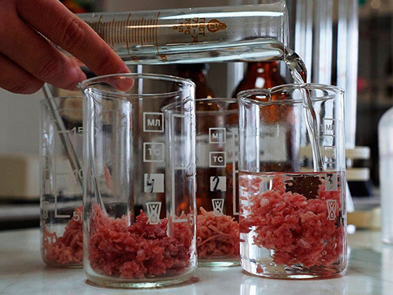 ИСТОЧНИК: BBC